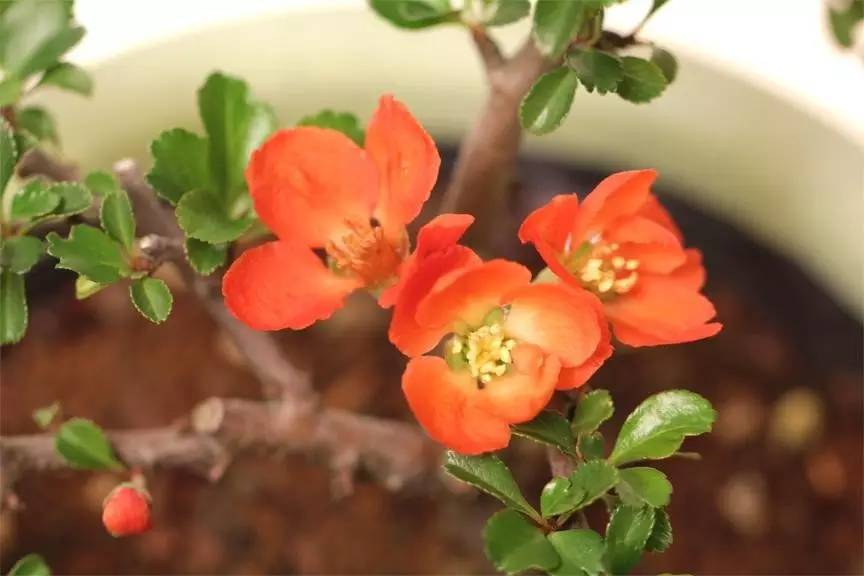 「诗词原创」闫鹏｜我辈当书胜绩激流犹待扬帆