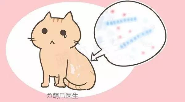 怎么区分身上是咬的还是过敏,皮肤怎么鉴别是过敏还是虫咬了