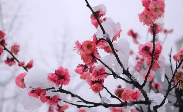 「诗词原创」闫鹏｜我辈当书胜绩激流犹待扬帆