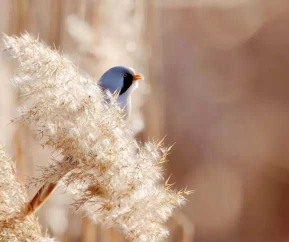 「诗词原创」闫鹏｜我辈当书胜绩激流犹待扬帆