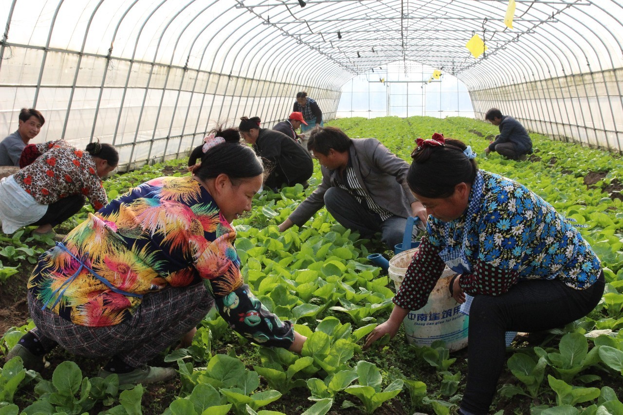 前方高能！魔都首家生态火锅店，在阳光房里吃出今年流行色~