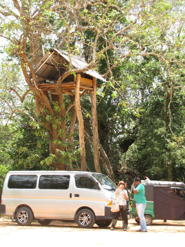 斯里兰卡“人文旅游”攻略综述