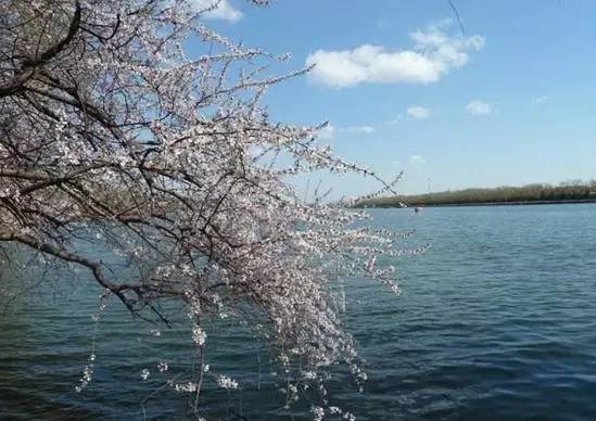 「诗词原创」闫鹏｜我辈当书胜绩激流犹待扬帆