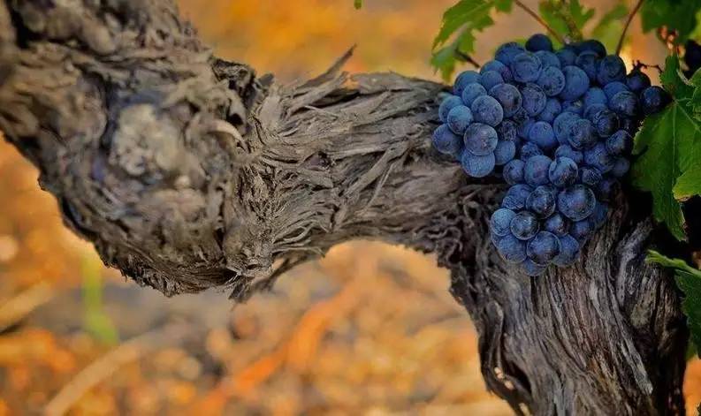 「诗词原创」闫鹏｜我辈当书胜绩激流犹待扬帆