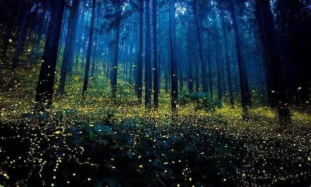 「诗词原创」闫鹏｜我辈当书胜绩激流犹待扬帆