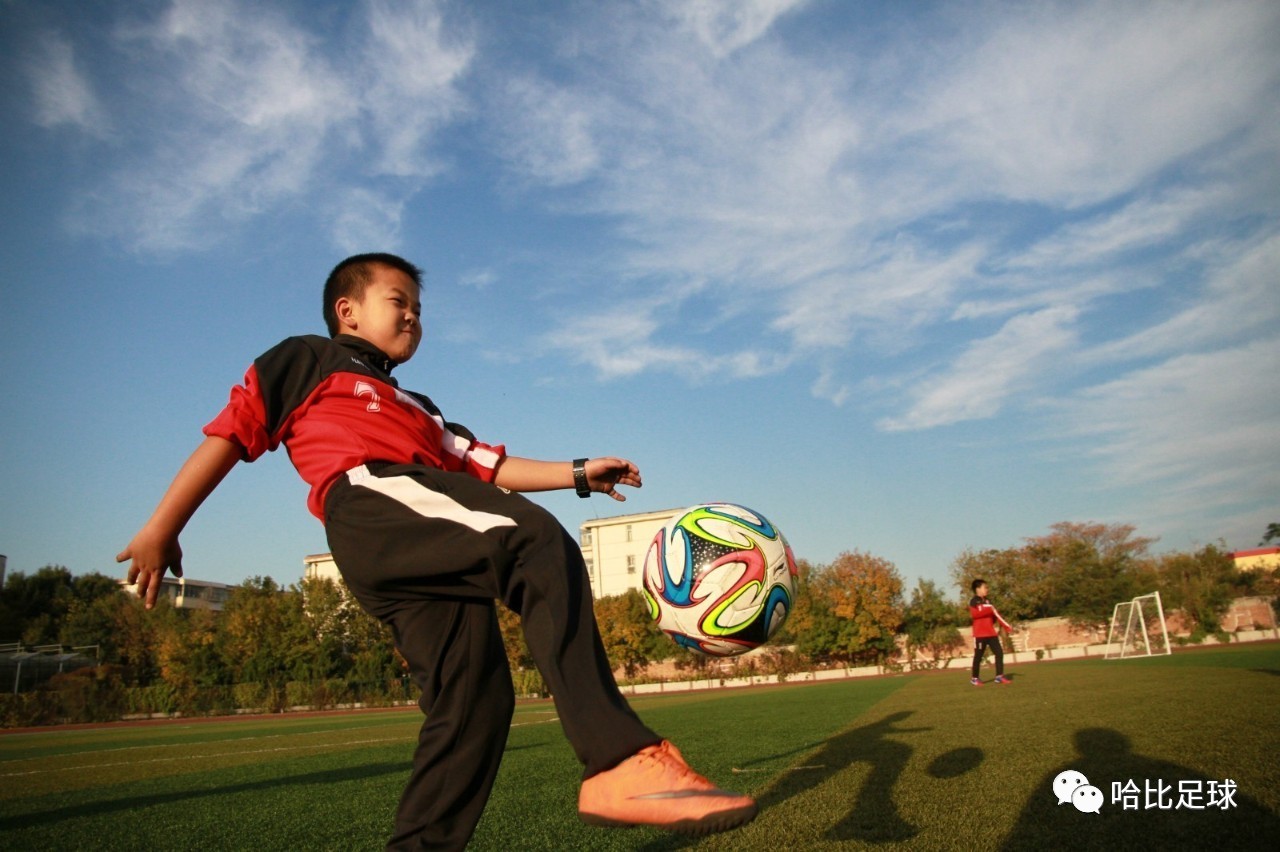 职业青训营要求,职业青训招人