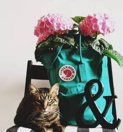 有态度｜谁说双肩包就是年轻人的专利，明明是谁背谁都美啊！