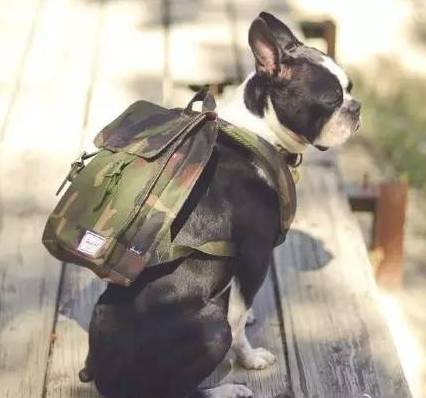 有态度｜谁说双肩包就是年轻人的专利，明明是谁背谁都美啊！