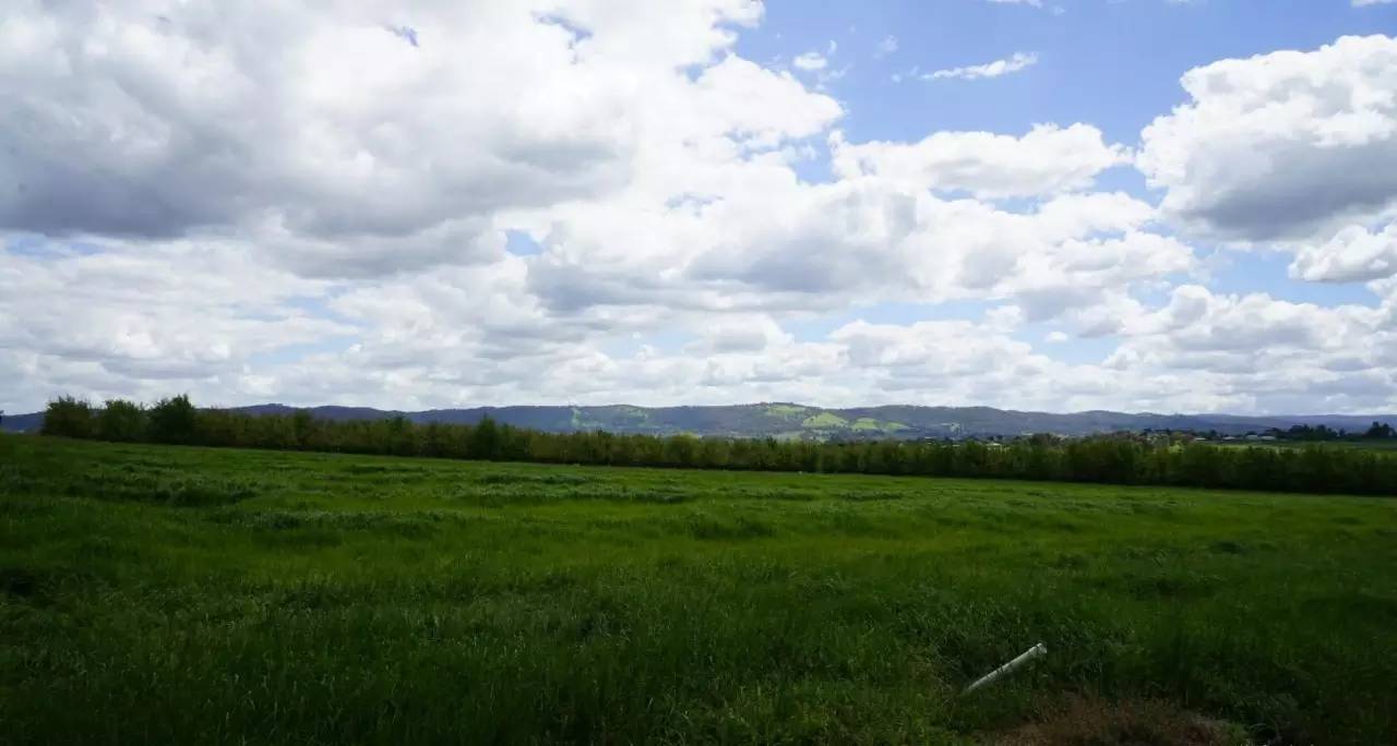 图说：在澳洲的日常（2）｜陈秋平