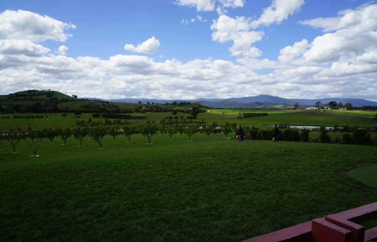 图说：在澳洲的日常（2）｜陈秋平