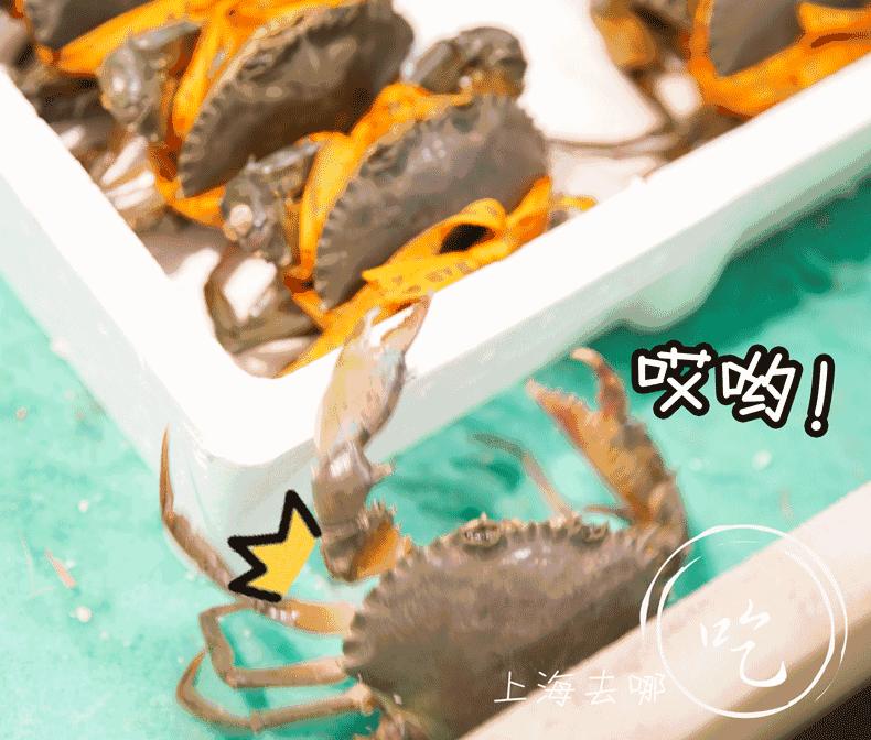 魔都竟然有家川菜馆，藏着5000㎡海鲜市场和KTV！微信好友越多折扣越大！