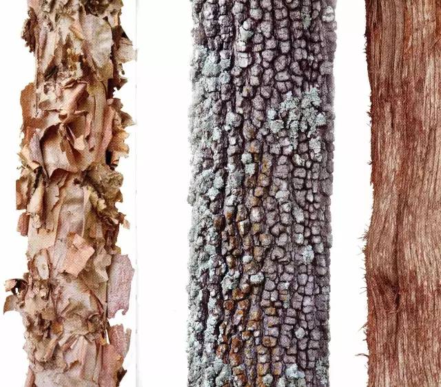 100本好书（爱一本书像爱一个人）