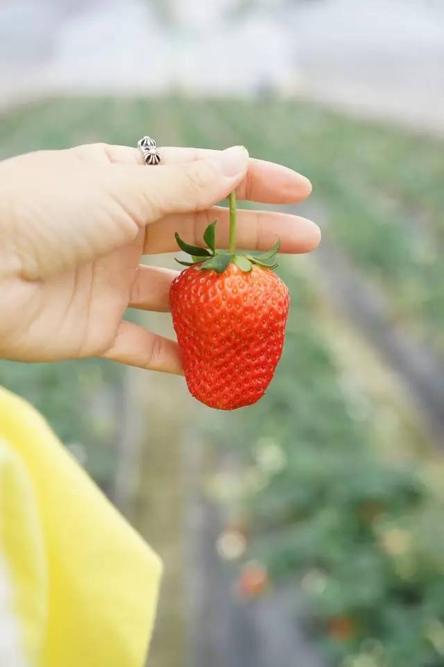 国色天相倾国倾城，“阳澄湖”牵手“太湖”，在相城遇见最美的你