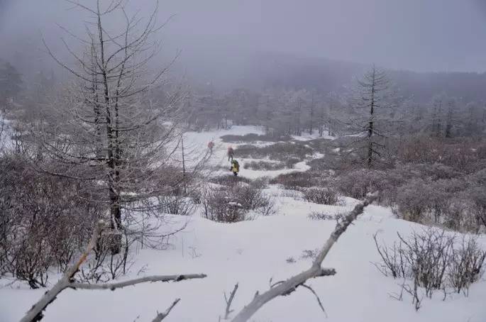 “导”亦有道：学会GPS，在山野安全穿行