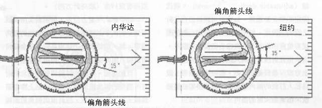 “导”亦有道：学会GPS，在山野安全穿行