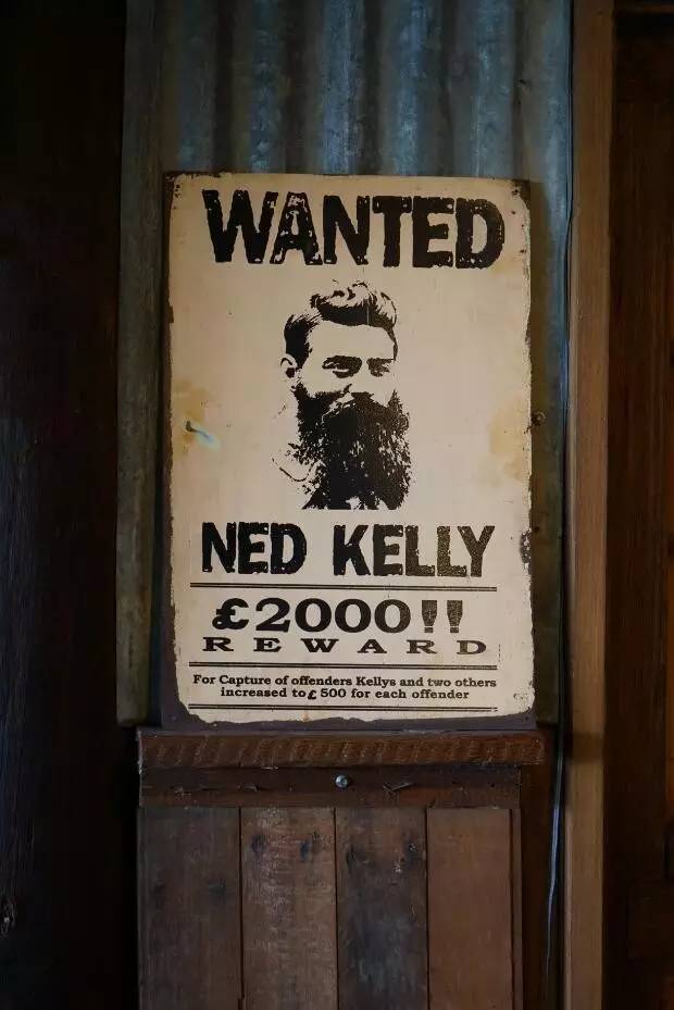 图说：在澳洲的日常（2）｜陈秋平