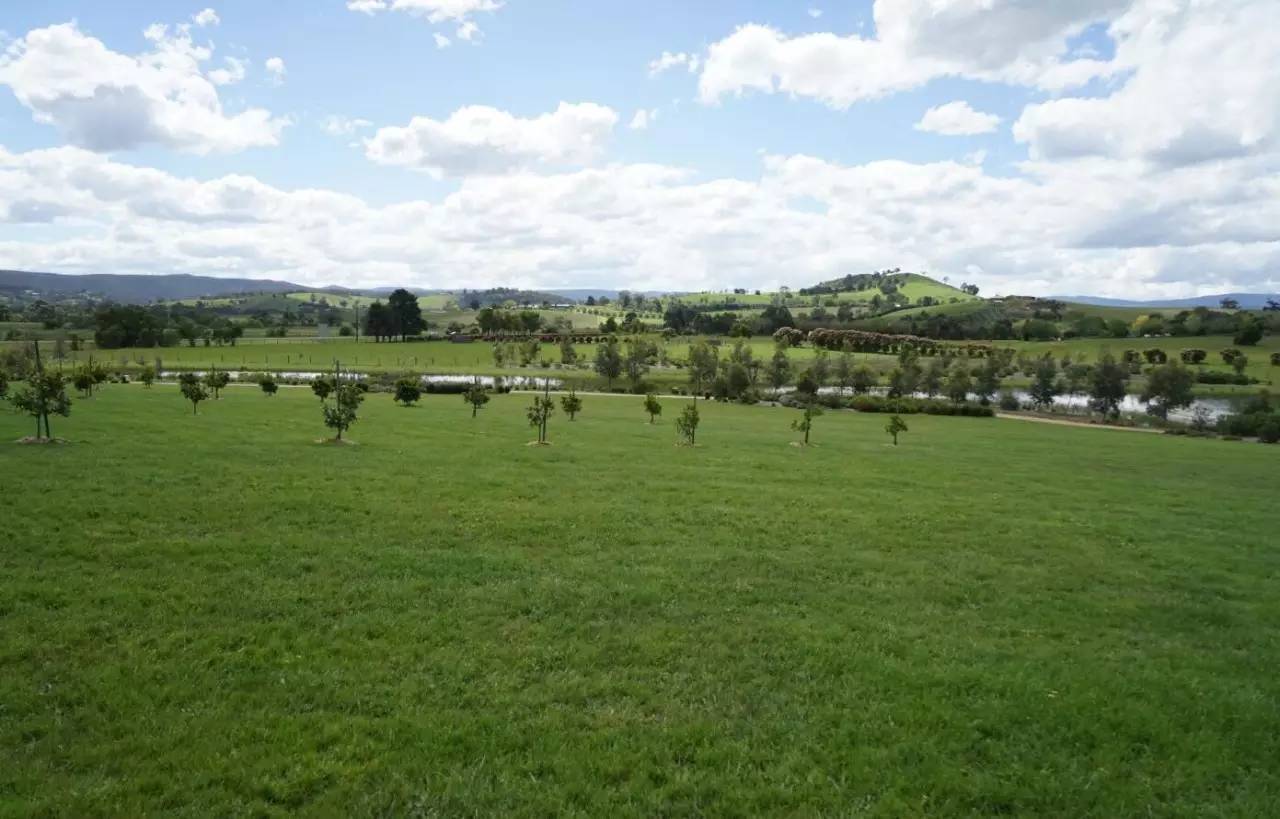 图说：在澳洲的日常（2）｜陈秋平