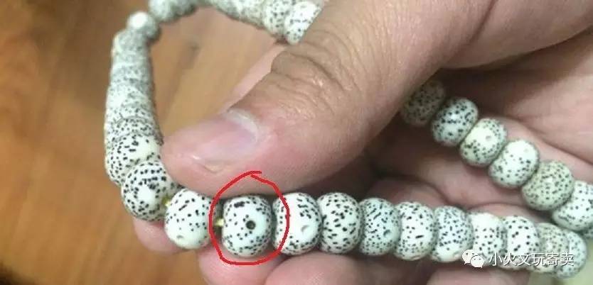 分享买过的菩提,两年多星月菩提有点花