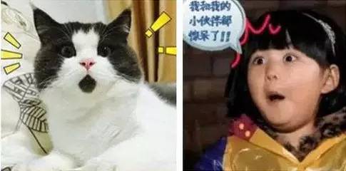 只是为了给范范做一个手机壳，黑人居然干了这么一件惊天的事