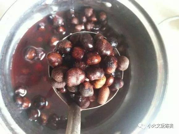 分享买过的菩提,两年多星月菩提有点花