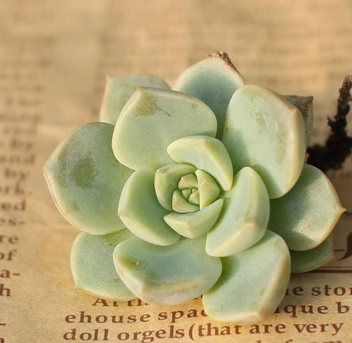 王者荣耀英雄pk古代英雄,王者荣耀英雄vs其他游戏英雄