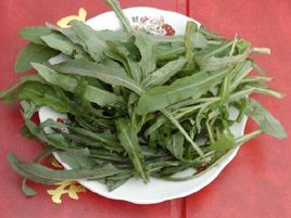 春季野菜大赏选对种类健康又美味,开春吃野菜的讲究