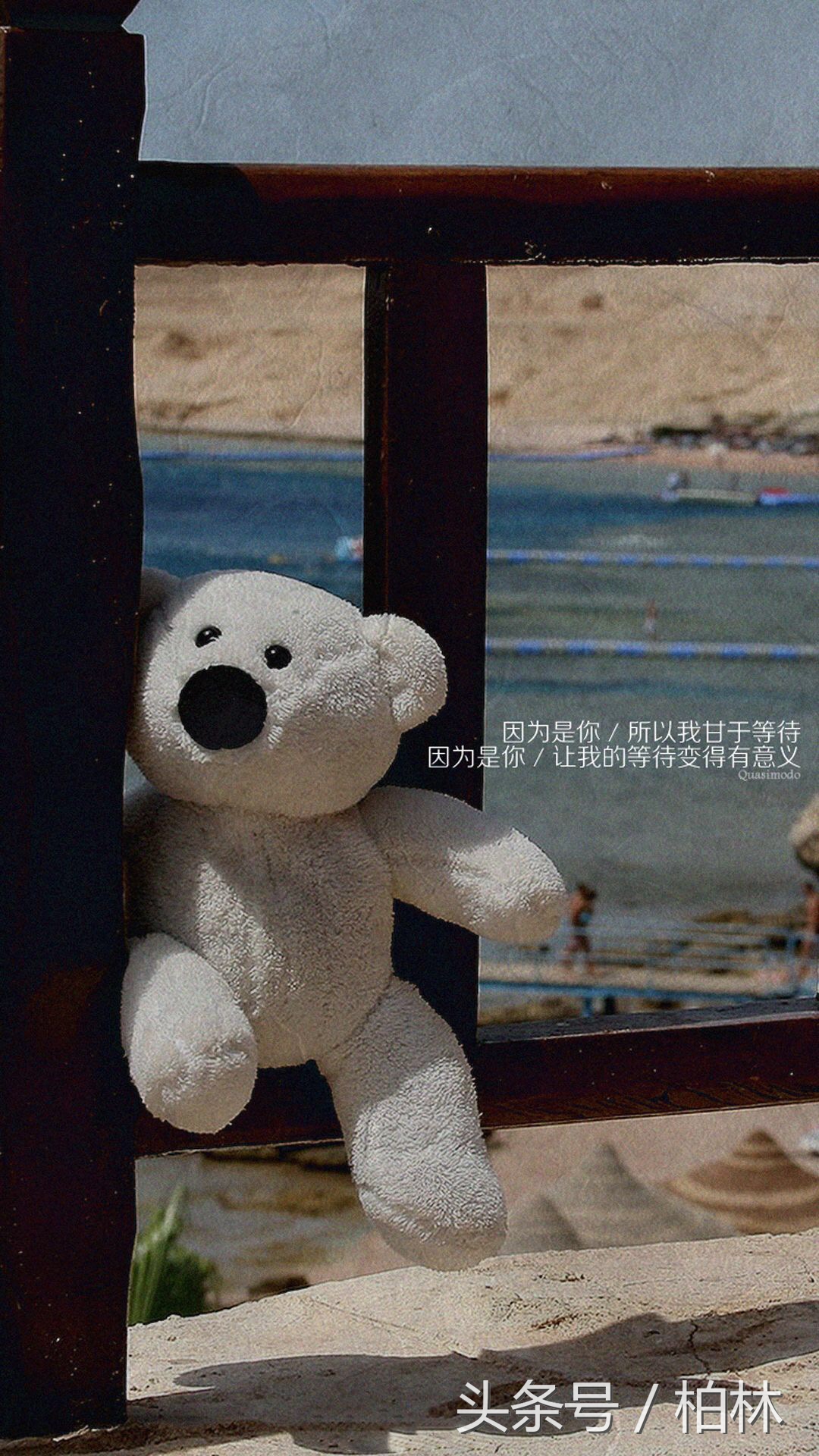 安妮宝贝关于爱情经典语录,安妮宝贝蔷薇岛屿经典语录