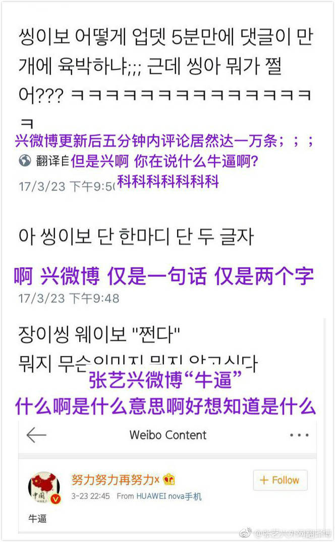 国足取胜，张艺兴“牛逼”引热议，杜海涛却因下跪权志龙被骂惨