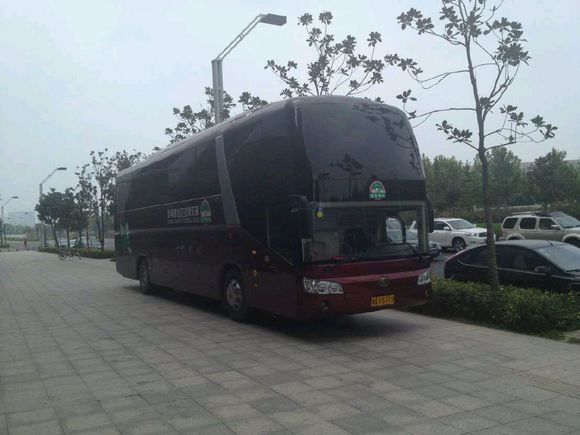 国足死亡之战,国足0-3不敌韩国各个球员