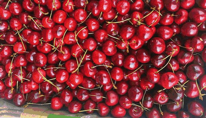 这芒果的味道太惊艳！年销6000万的批发商靠它成上海芒果一姐