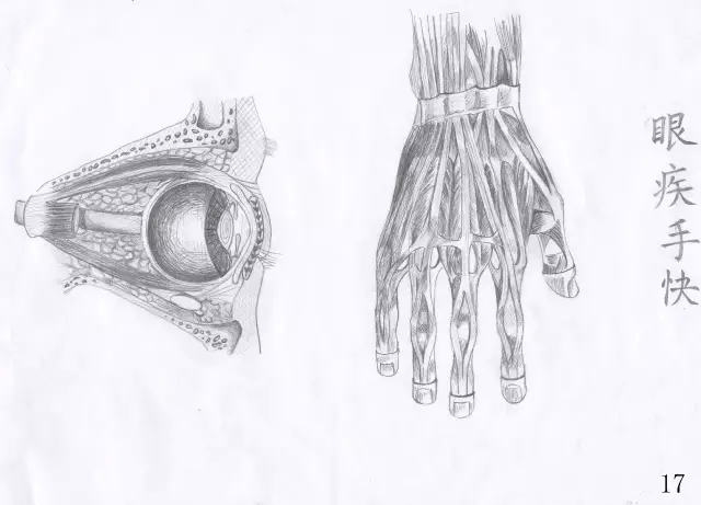 正所谓画骨画皮也画心,画皮画骨还画心