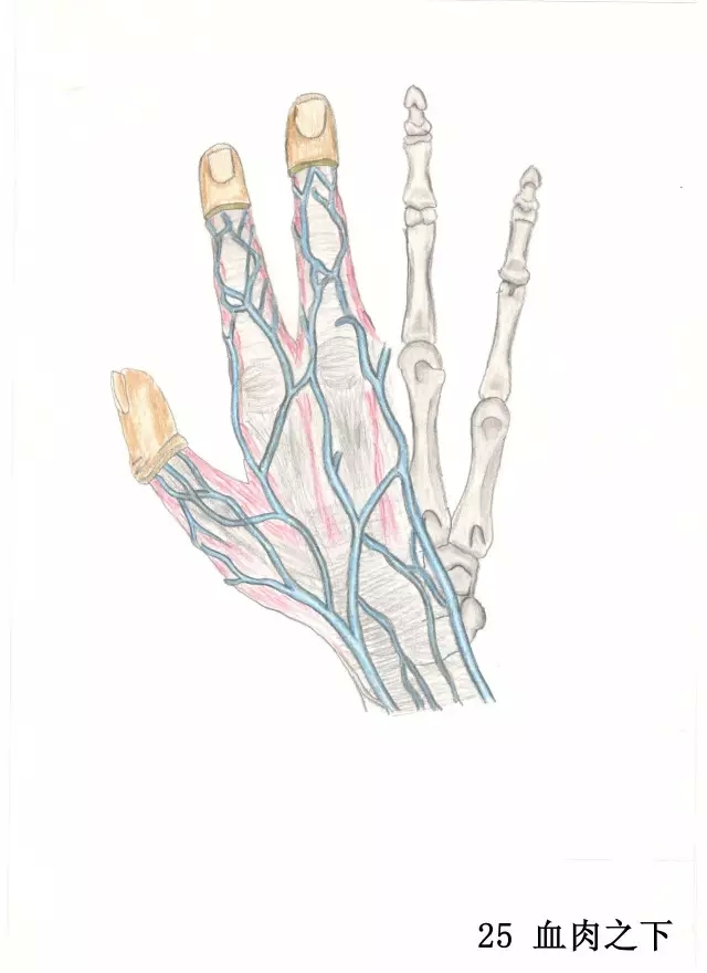 正所谓画骨画皮也画心,画皮画骨还画心