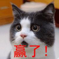 国足因为始终相信所以从未放弃,国足能不能为自己正名