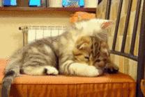 男人惹女生生气的高情商句子,男人故意惹你生气刺激你的表现