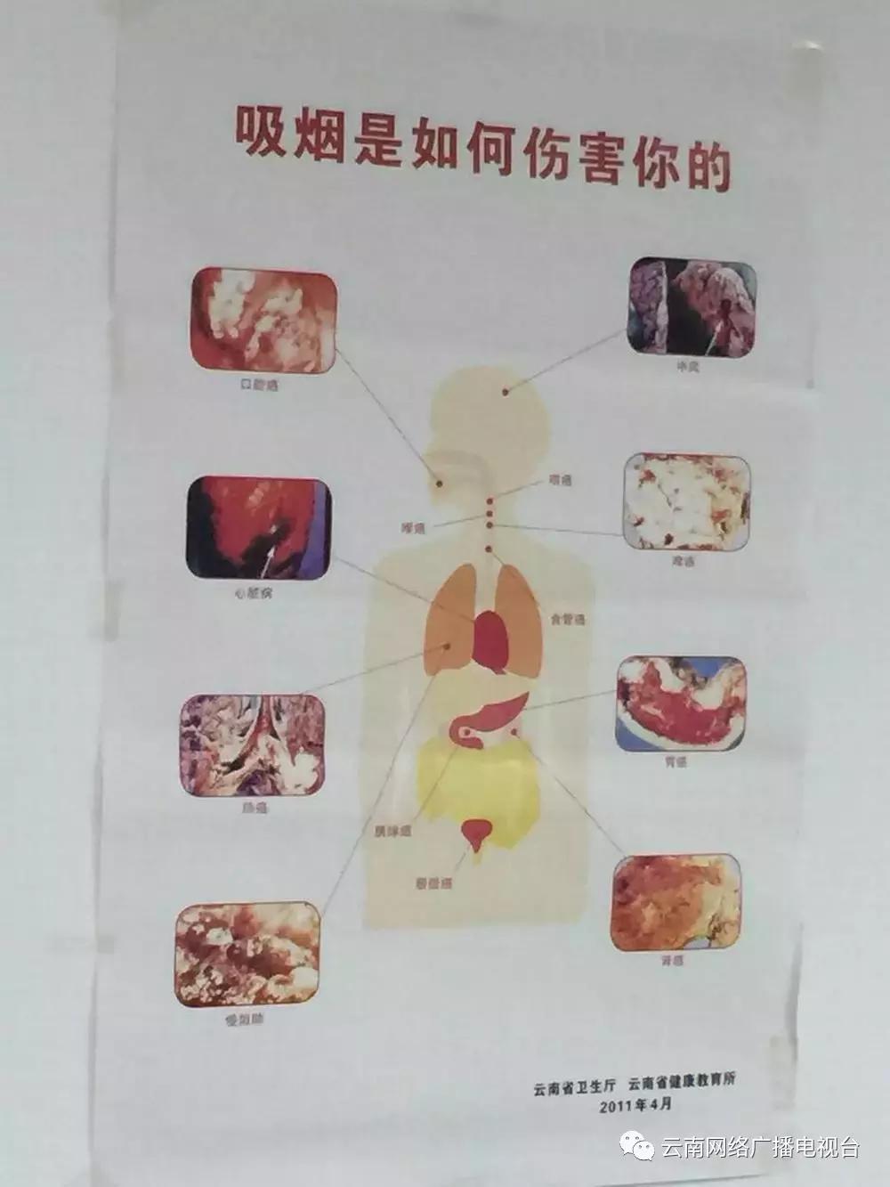 一场特殊的探访,一场特别的体验活动