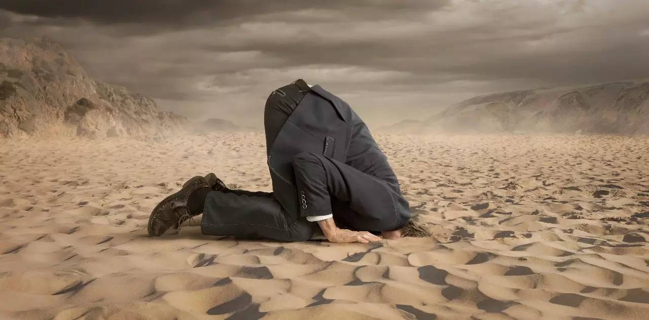 微信指数为什么特别高,查看微信指数