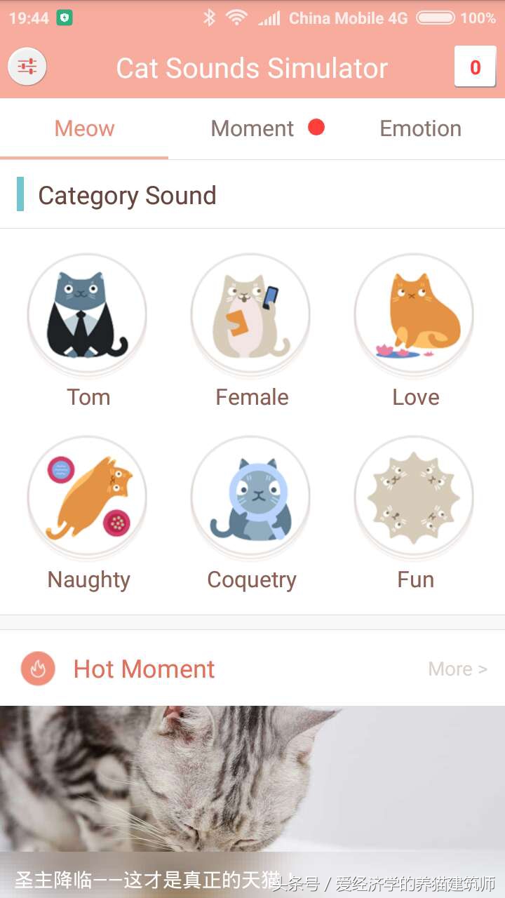 可以学猫叫的模拟器,猫叫模拟器下载安装