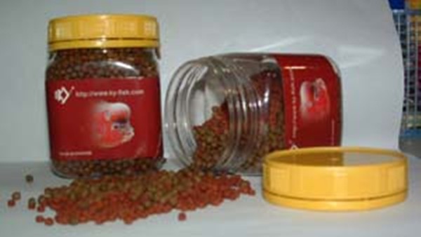 罗汉鱼选鱼技巧,金花罗汉用什么饵料好