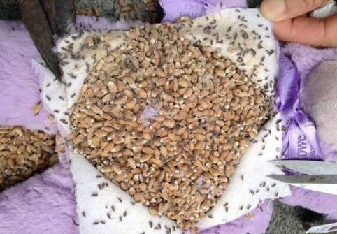 维e面霜真假区别,澳洲维e面霜测评