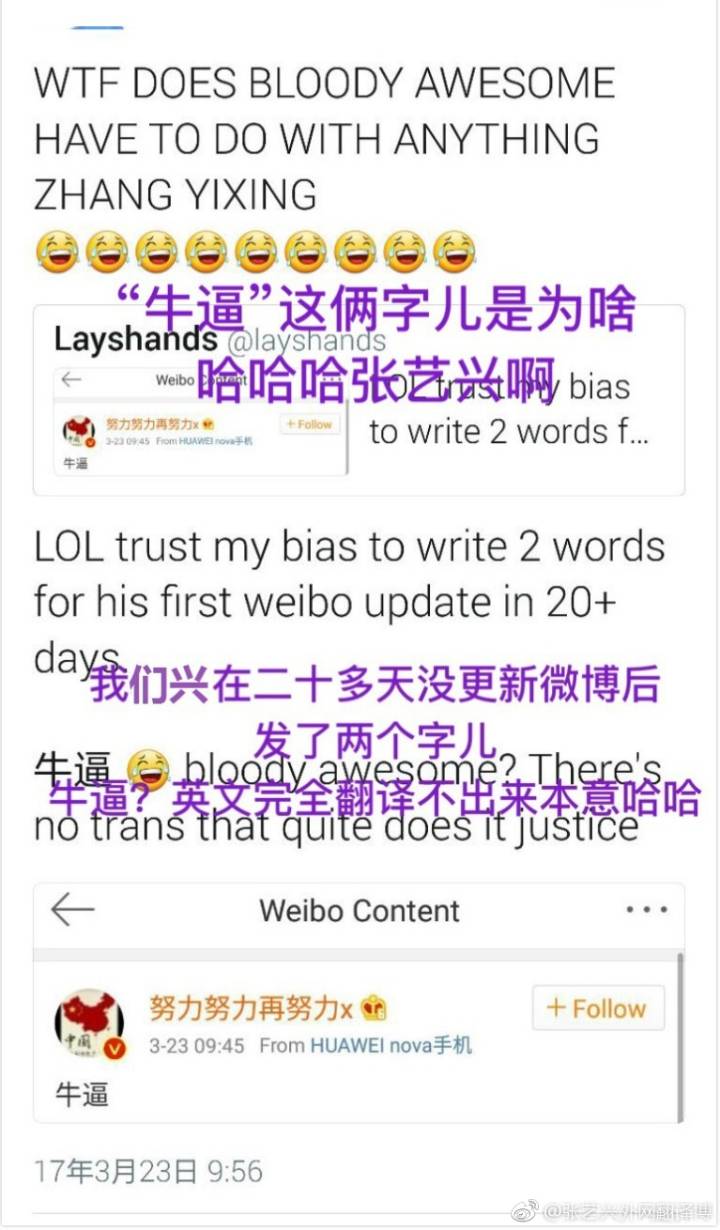 国足取胜，张艺兴“牛逼”引热议，杜海涛却因下跪权志龙被骂惨