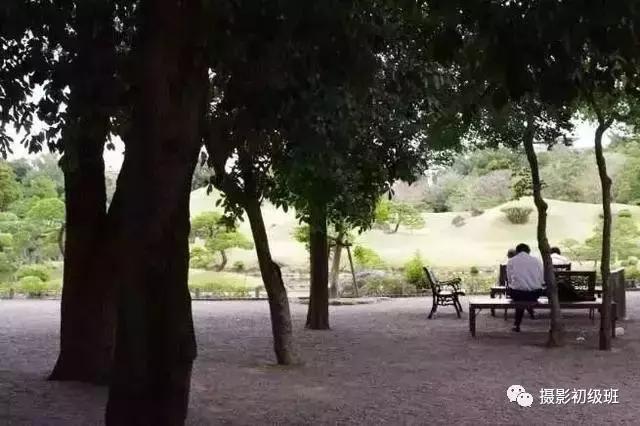 摄影新手必学的20种基础构图,摄影11种构图技巧