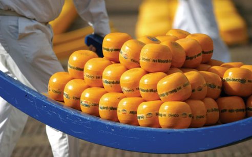 8个荷兰传统标志，第8个只有1%的领队才知道！