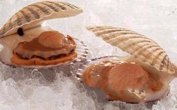 海鲜中毒应该吃点什么,海鲜中毒的症状怎么治