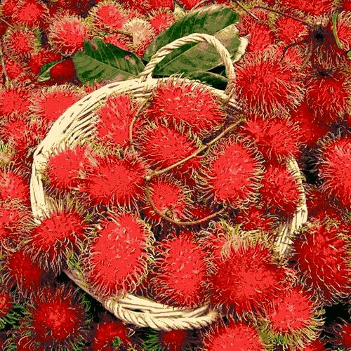 这芒果的味道太惊艳！年销6000万的批发商靠它成上海芒果一姐