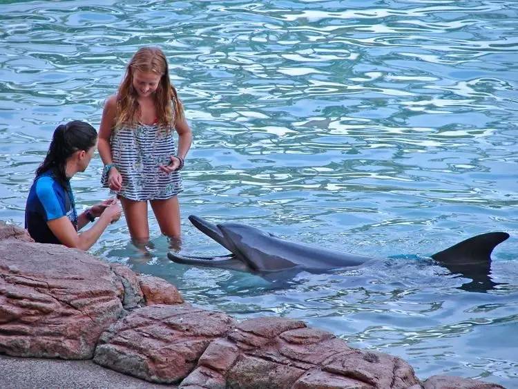 刘强东与奶茶妹妹的婚礼举办地大堡礁到底有多美？自己去看！