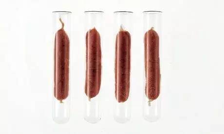 美国人造肉品牌大全,美国人造肉的视频