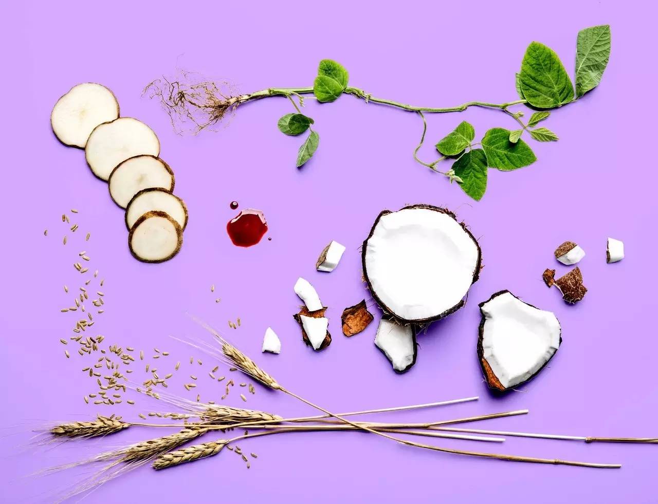 美国人造肉品牌大全,美国人造肉的视频