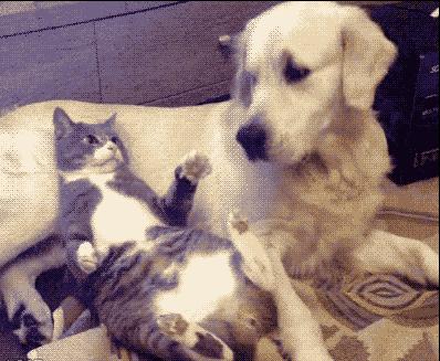 这小伙在沙滩不好好晒太阳，学人射门，射完足球就哭了