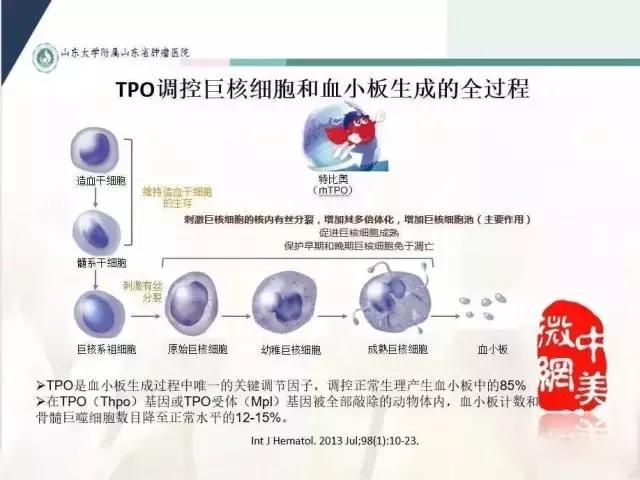 肿瘤化疗后血小板太少怎么治疗,肿瘤化疗所致血小板减少症状治疗