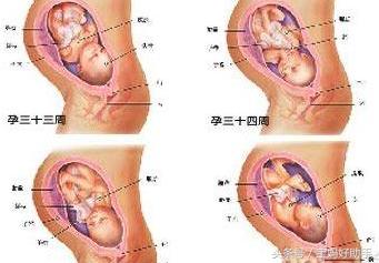 妊娠晚期需要关注什么,卵巢囊肿怀孕晚期要关注哪些问题